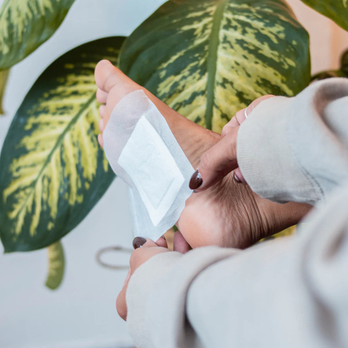 Parche Kinoki Detox - Parches de limpieza de toxinas