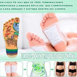 Parche Kinoki Detox - Parches de limpieza de toxinas